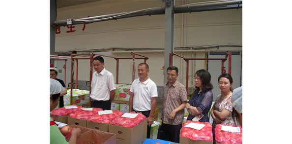《綠色食品品質(zhì)、營業(yè)功能評價標(biāo)準(zhǔn)課題》調(diào)研在棲霞德豐開展