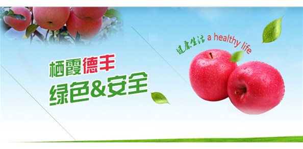 首批農(nóng)業(yè)國際貿(mào)易高質(zhì)量發(fā)展基地名單公布！