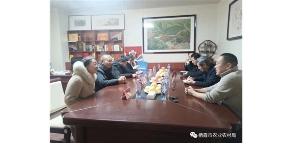省農(nóng)業(yè)農(nóng)村廳檢查組來我市開展農(nóng)業(yè)標(biāo)準(zhǔn)化生產(chǎn)基地檢查驗收