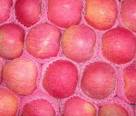 Qinguan apple