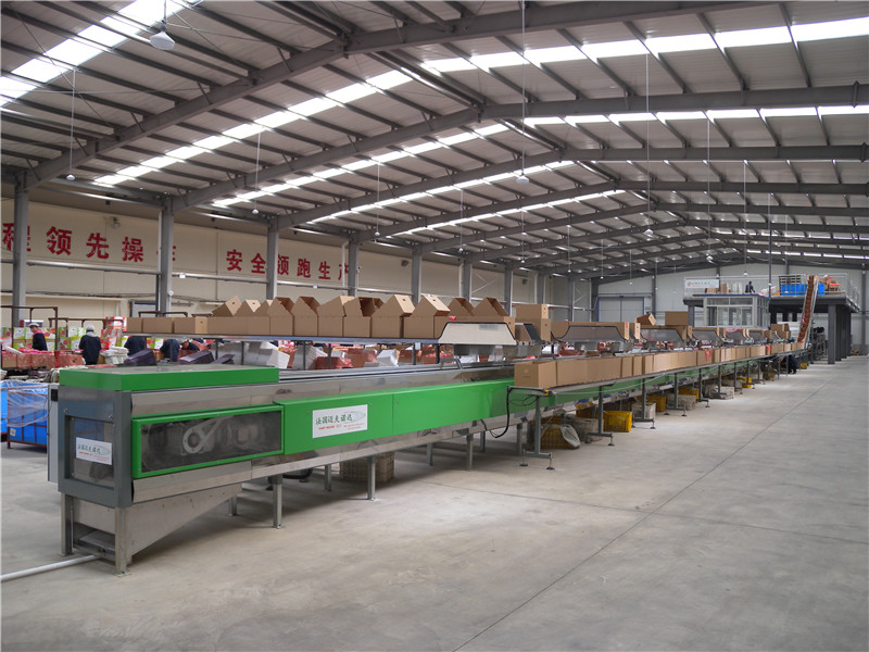 Processing workshop